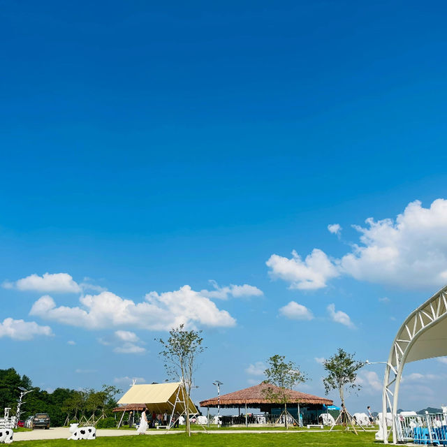 「天理觀光農園～田園畫捲之美！」