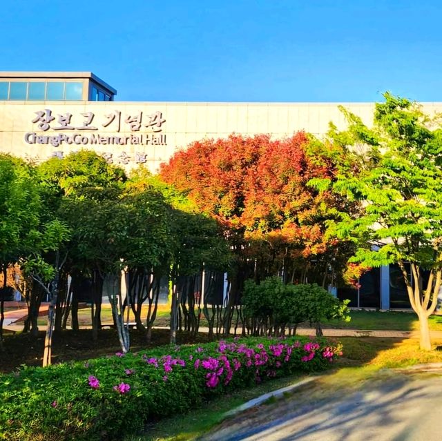 완도의 블루플래그