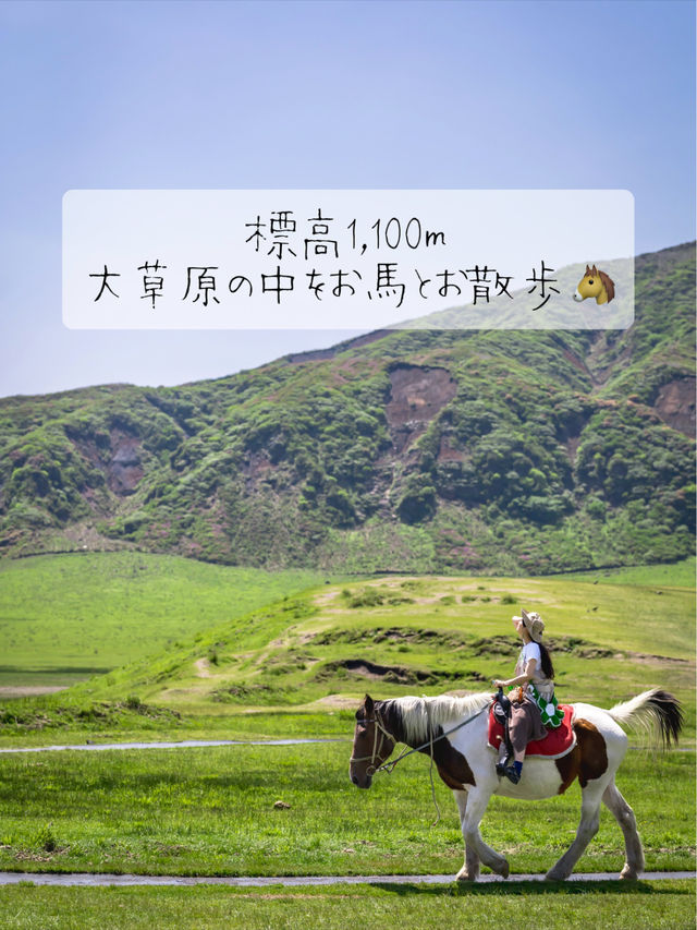 大草原をお馬とお散歩🐴🥕