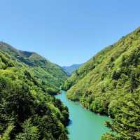 山中溪：清澈溪水與蒼翠山林的夢幻仙境，享受自然恬靜之美