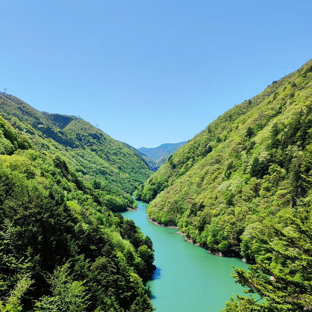 山中溪：清澈溪水與蒼翠山林的夢幻仙境，享受自然恬靜之美