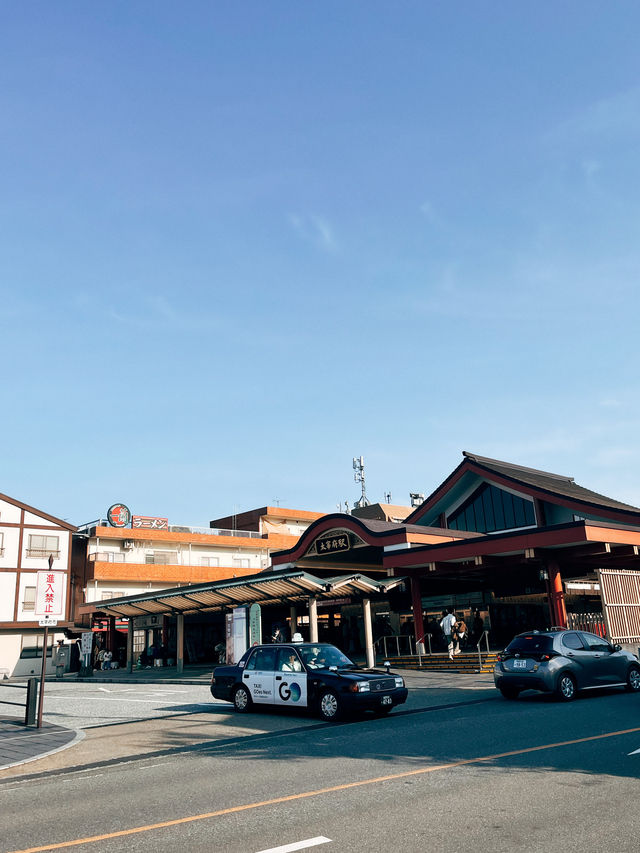 🇯🇵日本福岡景點⛩️ 寶滿宮 竈門神社🌸