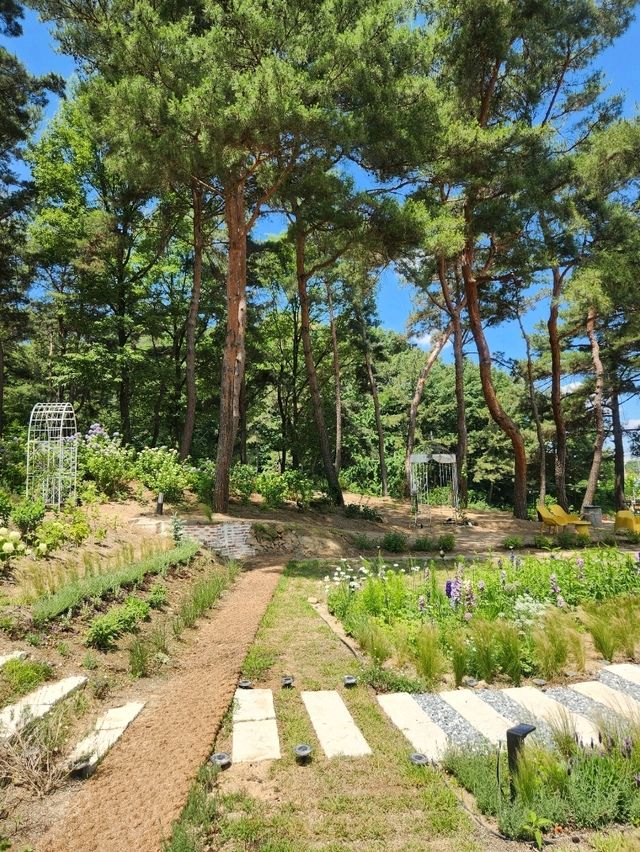 경산 여행시 꼭 가야할 테이스티 가든❤️