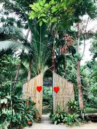 ย้อนเวลาไปเที่ยวพังงา🌴