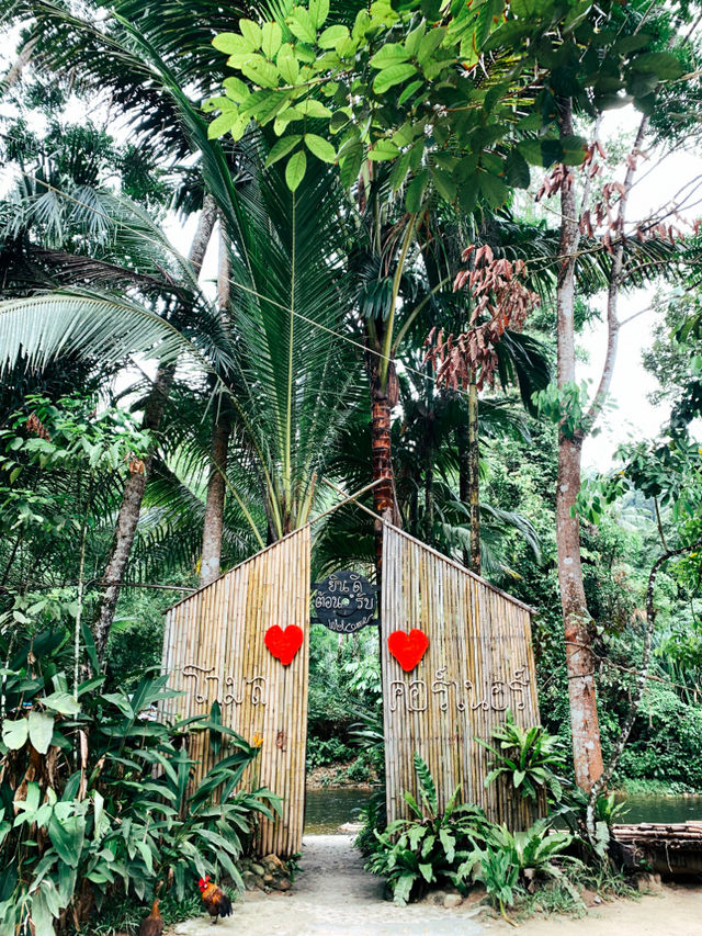 ย้อนเวลาไปเที่ยวพังงา🌴