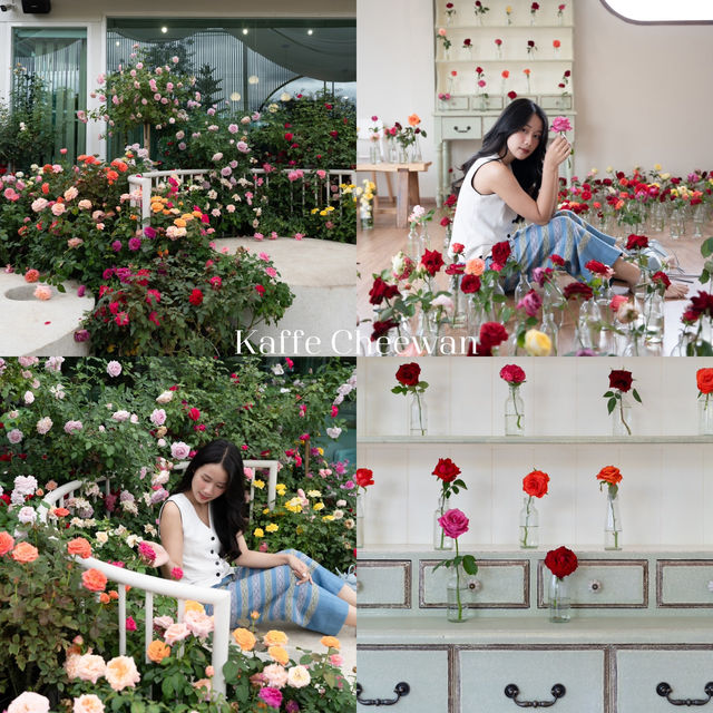 เชียงใหม่ 20 Locations ep.2