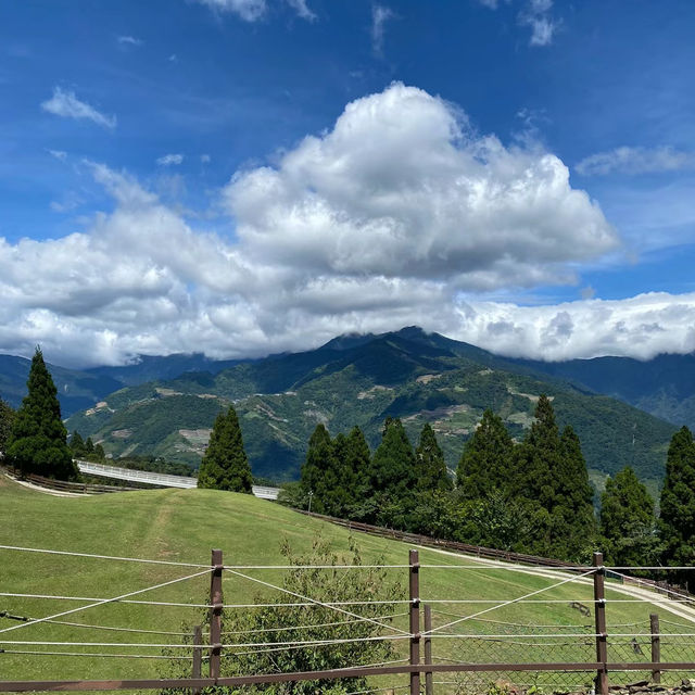 南牧場：原生態自然環境，深入感受島嶼魅力