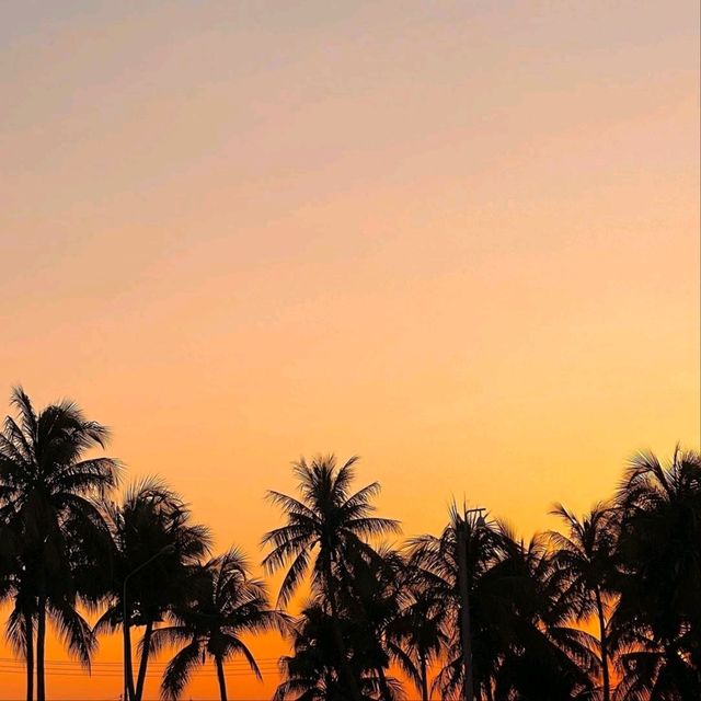Wonnapha Vibes