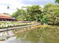 วัดเจ็ดลิน สะพานไม้ไผ่ข้ามบึงบัว - เชียงใหม่