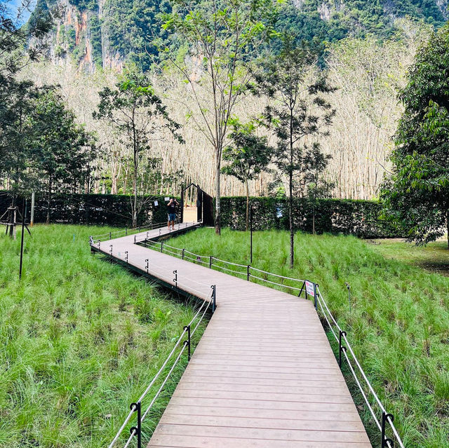 INTO THE FOREST | ดื่มด่ำบรรยากาศคาเฟ่กลางหุบเขา