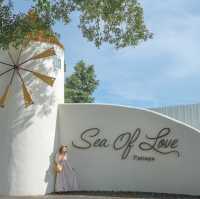 sea of love pattaya คาเฟ่น่ารัก