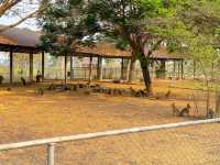 สนามบินสุโขทัย ที่เป็นมากกว่าสนามบิน