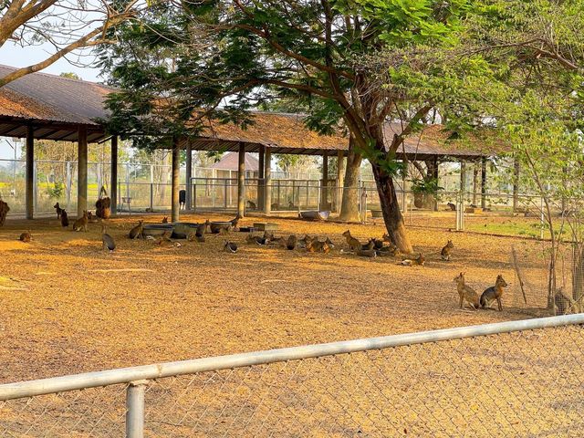 สนามบินสุโขทัย ที่เป็นมากกว่าสนามบิน