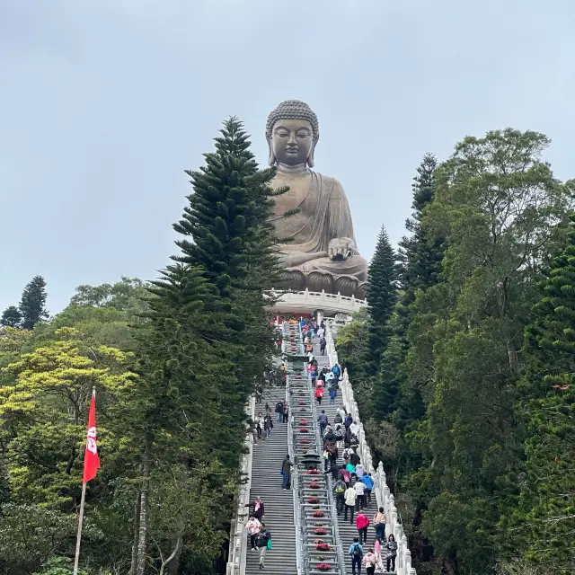 搭乘纜車前往昂坪天壇大佛
