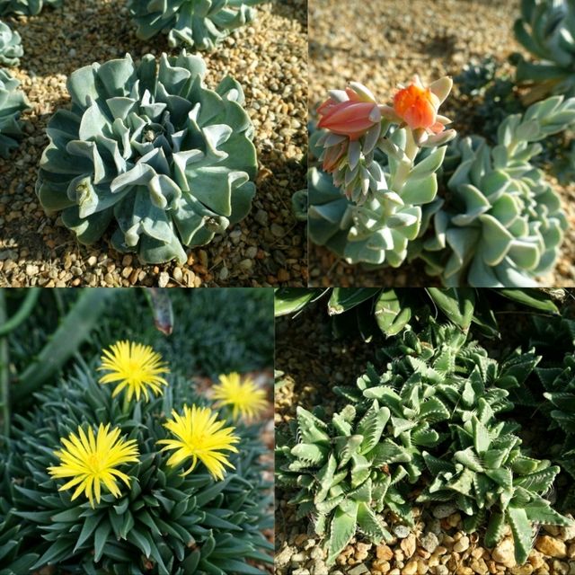 新加坡奇幻世界花園😻
