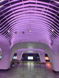 The most Outstanding Metro Station in Shanghai.
