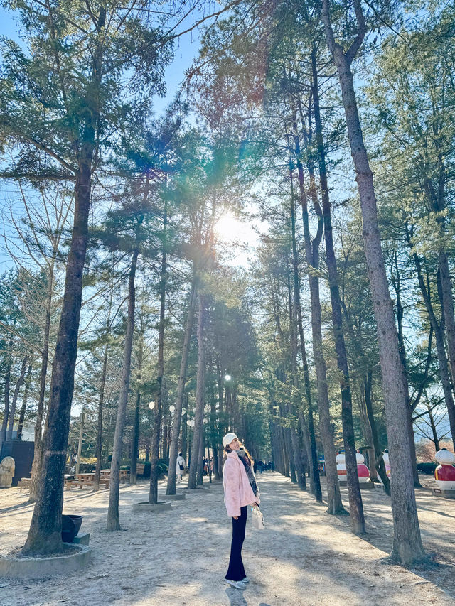 韓國首爾｜必玩高空飛索飛入南怡島