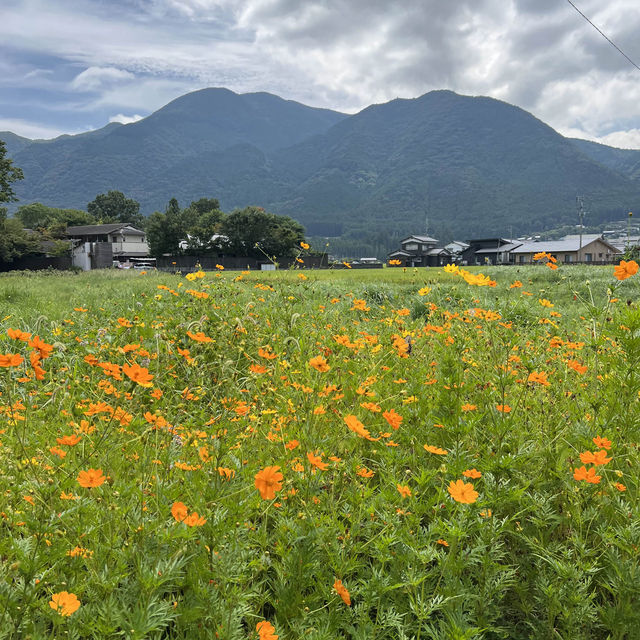 可愛すぎる！空色クリームソーダ ☁️🩵