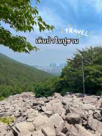 พาไปเดินป่าปูซาน | เส้นทางธรรมชาติบนภูเขาจางซาน⛰️