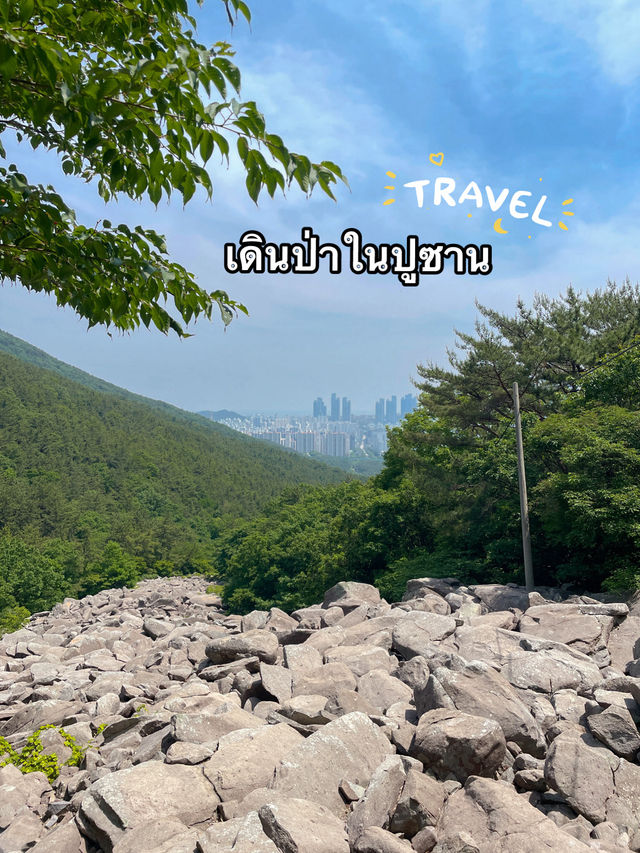 พาไปเดินป่าปูซาน | เส้นทางธรรมชาติบนภูเขาจางซาน⛰️