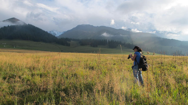 Step into the Heavenly Sky Grassland