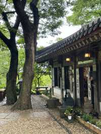 피톤치드 가득한 나무가 우거진 여름 숲 🌳한가운데 마음 공부, 사색할 수 있는 여름 여행지 추천 🍵