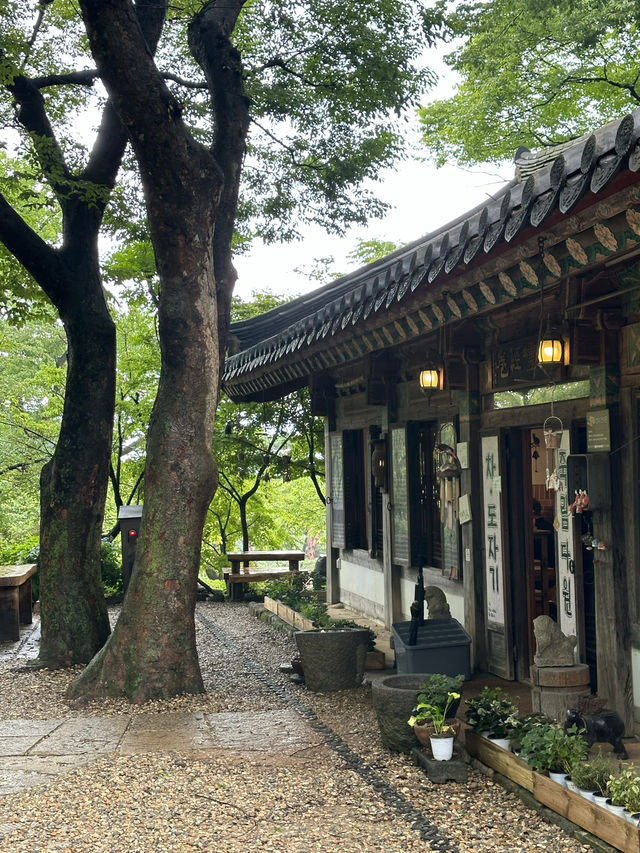피톤치드 가득한 나무가 우거진 여름 숲 🌳한가운데 마음 공부, 사색할 수 있는 여름 여행지 추천 🍵