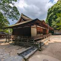 日本宇治-靜謐山林中的世界文化遺產：宇治上神社