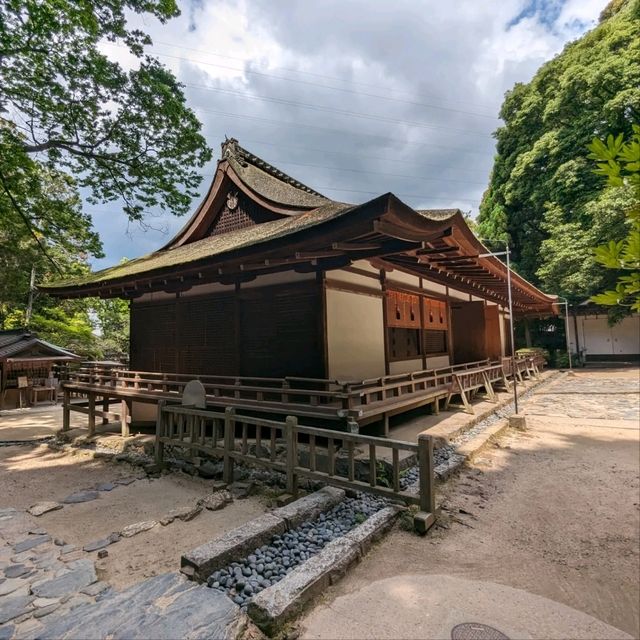 日本宇治-靜謐山林中的世界文化遺產：宇治上神社