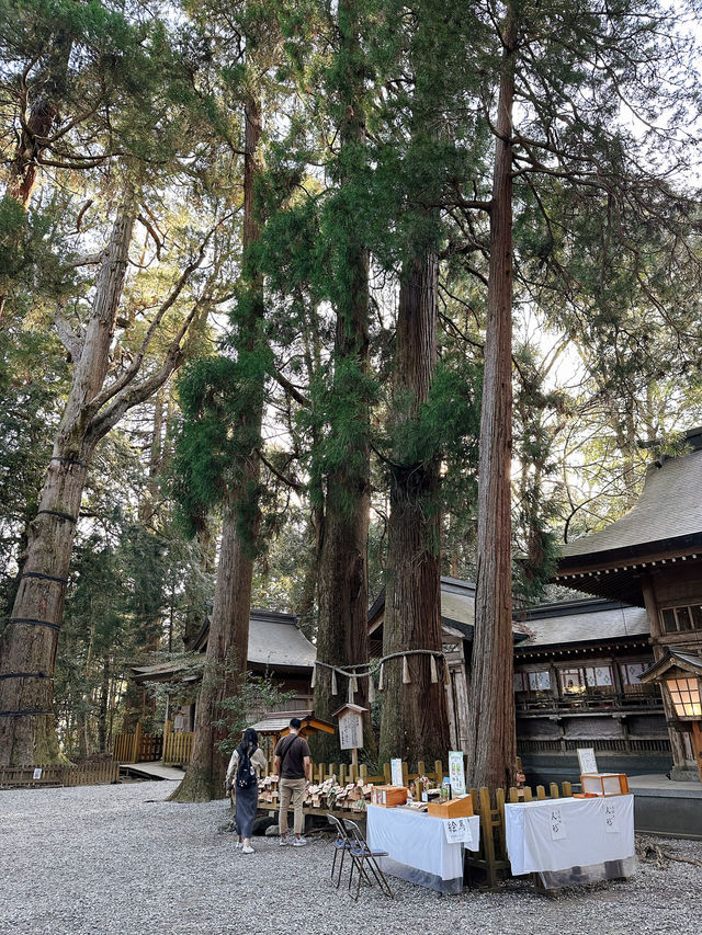 ✈️九州宮崎縣求夫妻和順的高千穗神社🤎