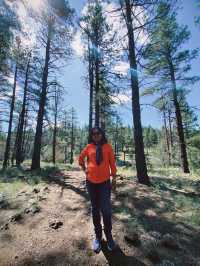 Another national park