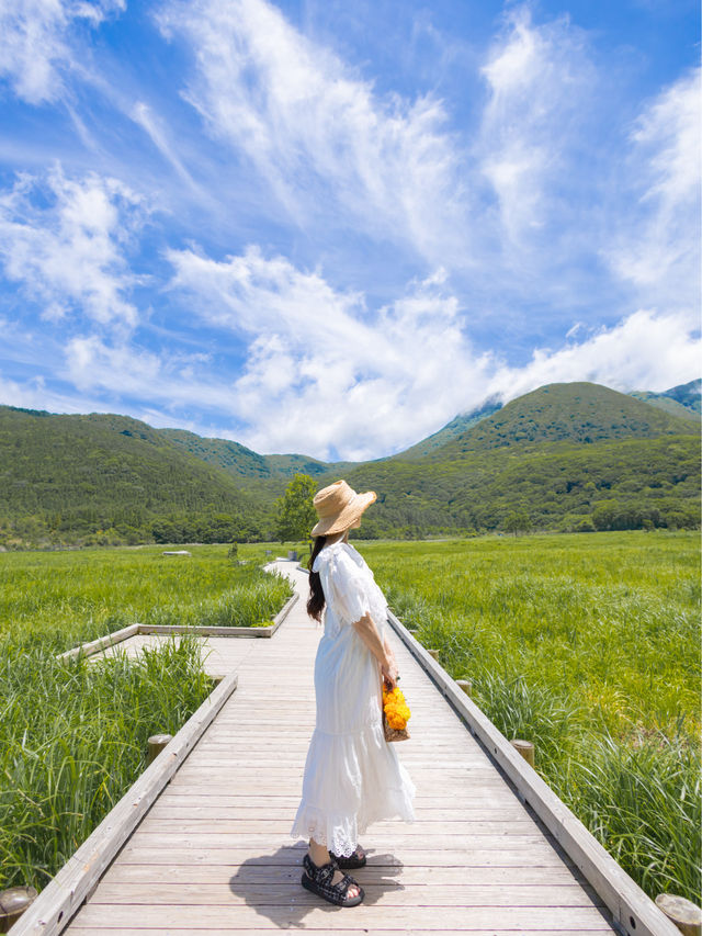 見渡す限りの大自然🌱新緑が美しい夏の『タデ原湿原』