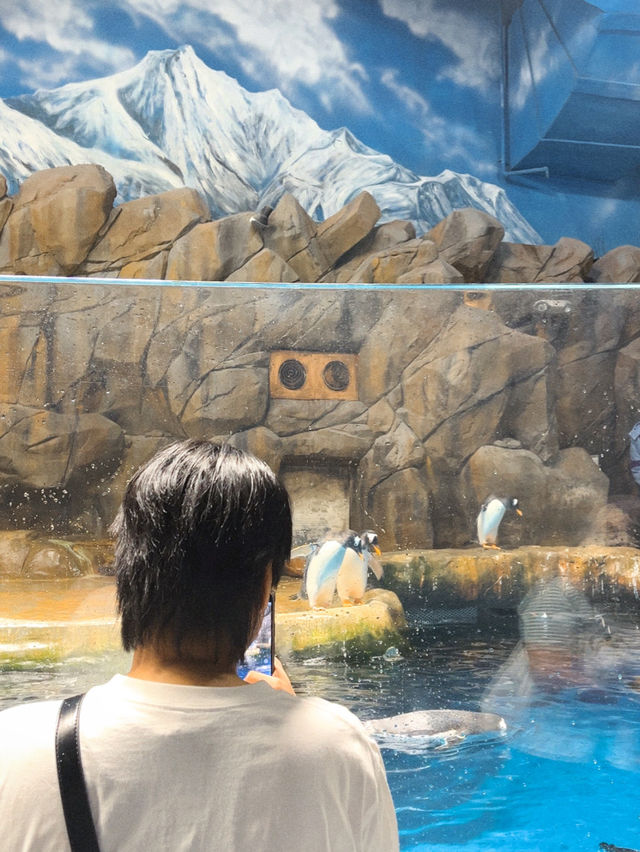พาไปดูแพนกวินจากขั้วโลกใต้ที่ฮ่องกงกัน 🐧