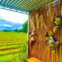 คาเฟ่วิววัดถ้ำเสือ