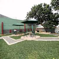GREEN COFFEE HOUSE | COZY ALLEYWAY COFFEE SHOP FOR RELAXING