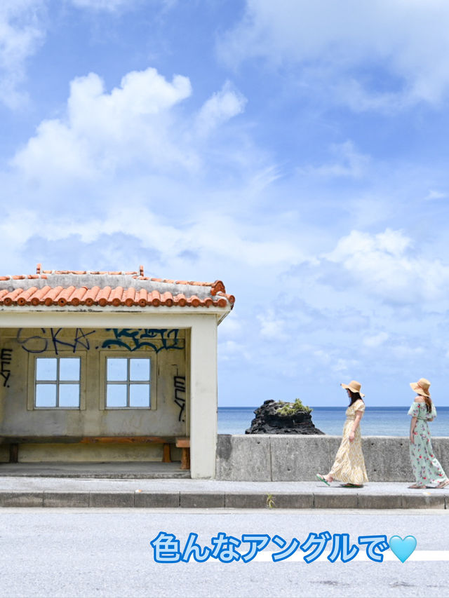  【沖縄 大宜味村】海の見えるバス停️🩵辺土名高校前バス停🌴絶景ポイント