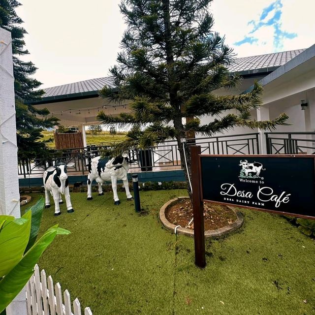 Desa Dairy Farm 'The Little New Zealand'
