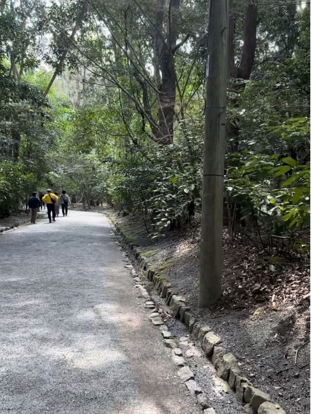 【福岡観光】