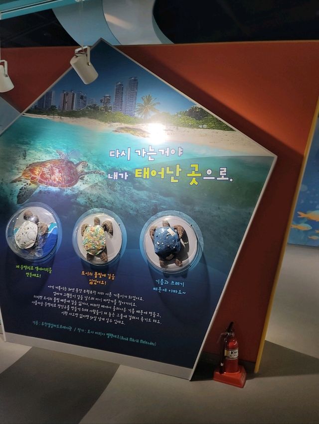 시원하게 즐기는 가족형 부산여름여행지 추천🔥