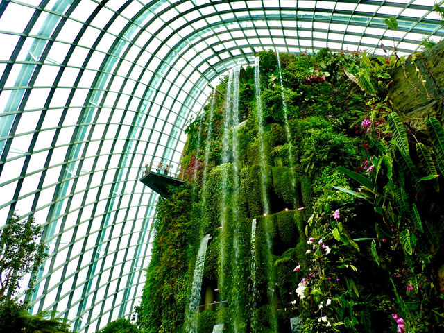 Cloud Forest / Singapore 