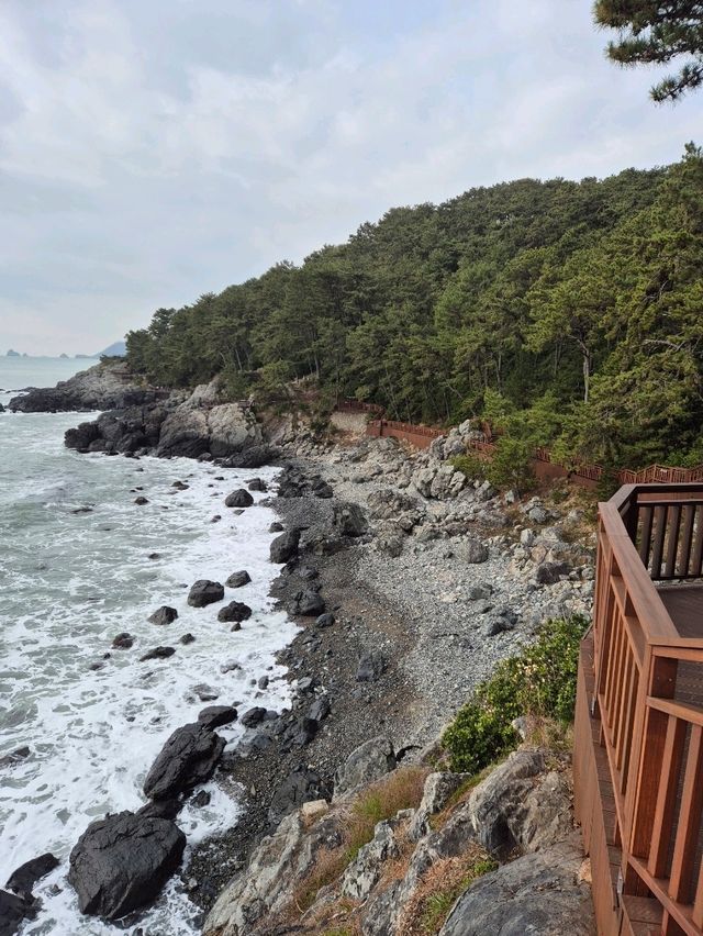 Dongbaek Island Busan