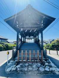 【長野県/下諏訪　“諏訪大社 下社 春宮”前/道路の真ん中にある下馬橋】