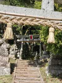 〜鳥取県〜試練に勝つ！復興と再生のパワースポット神社！