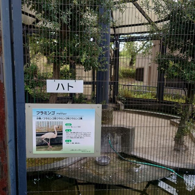 四季折々のイベント「大池公園」