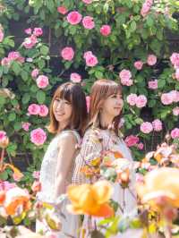 ここ知ってた？ 大阪のバラ園 なにもかもが無料で、映えスポット多数😊関西のデートスポット💫