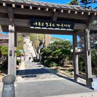 🇰🇷浦項✈️ 九龍浦日本人家屋구룡포일본인가옥거리