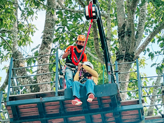 Chiang Mai Pongyang Jungle Coaster and Zipline Tour