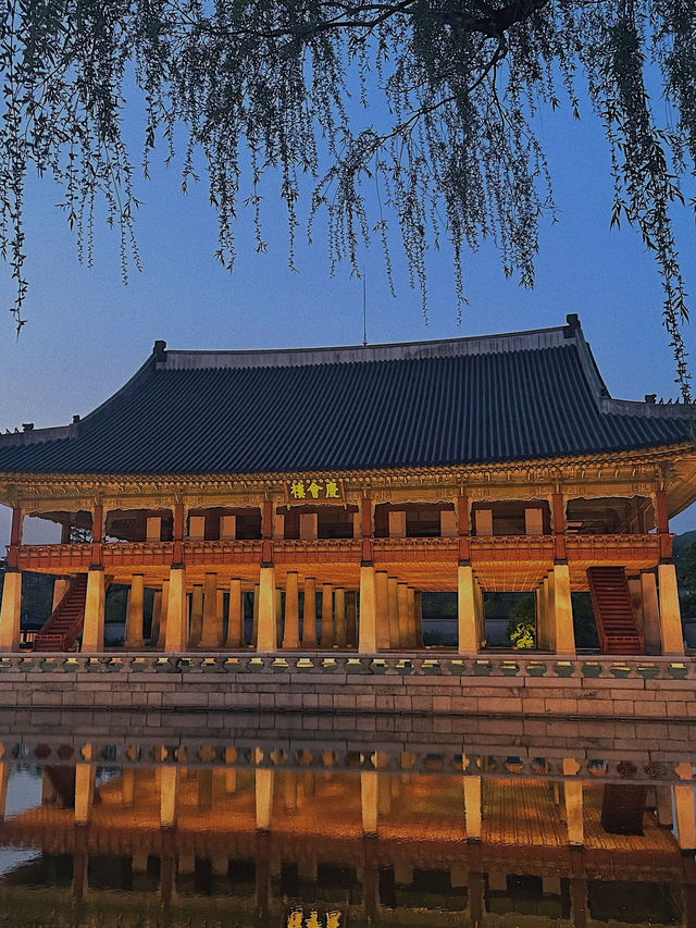 꼭 한번 다녀와야 하는 경복궁 야간 개장