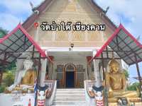 📍วัดป่าใต้ เชียงคาน