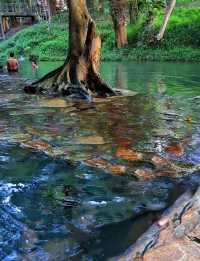 Exploring the hidden gem of Kanchanaburi, the Hindad Hot Spring!